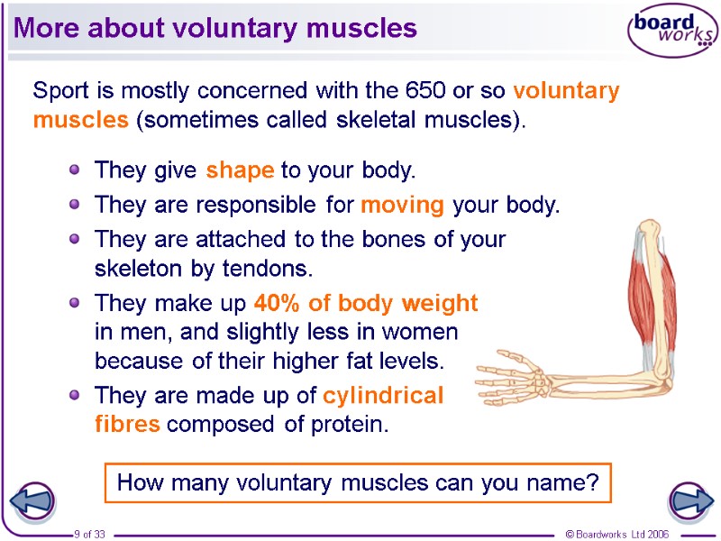 More about voluntary muscles Sport is mostly concerned with the 650 or so voluntary